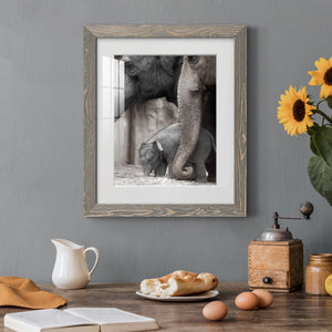 Family Moment - Barnwood Framed Art Print
