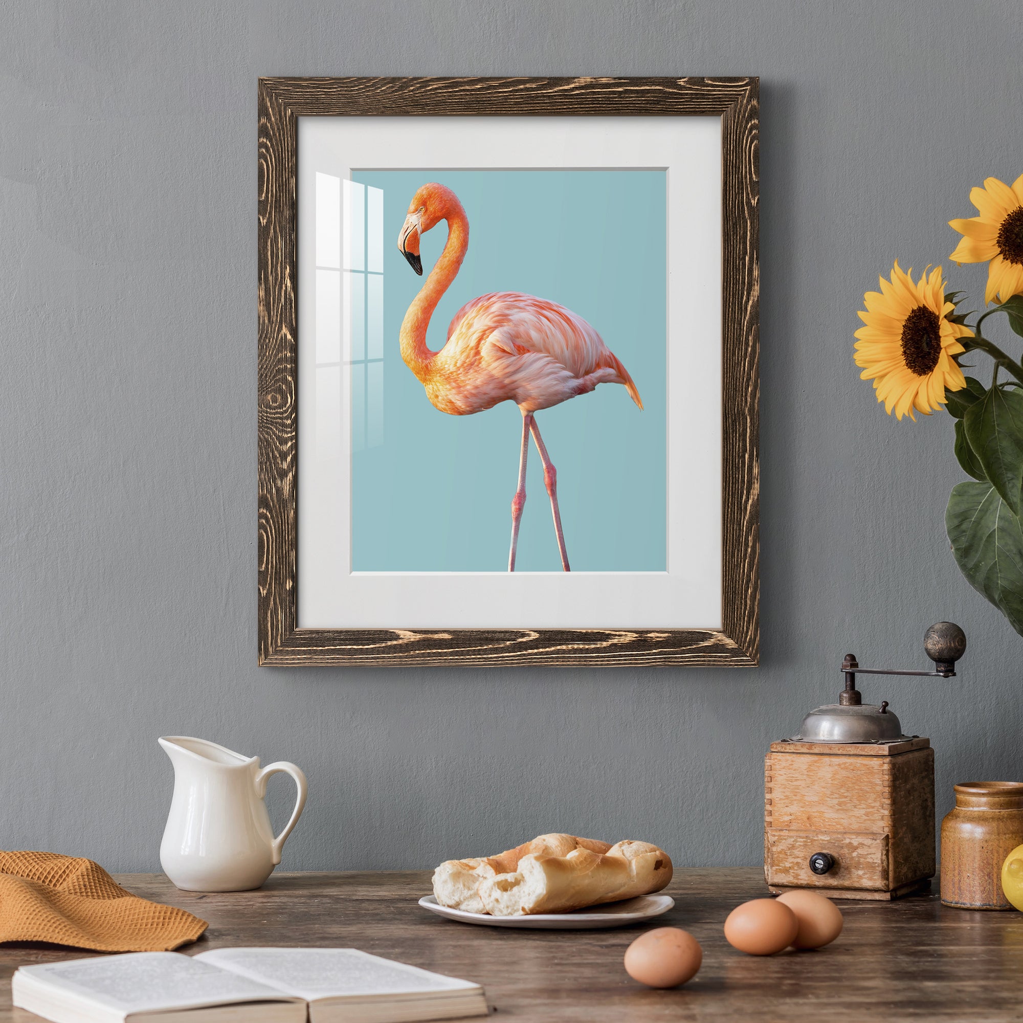 Flamingo - Barnwood