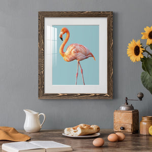 Flamingo - Barnwood