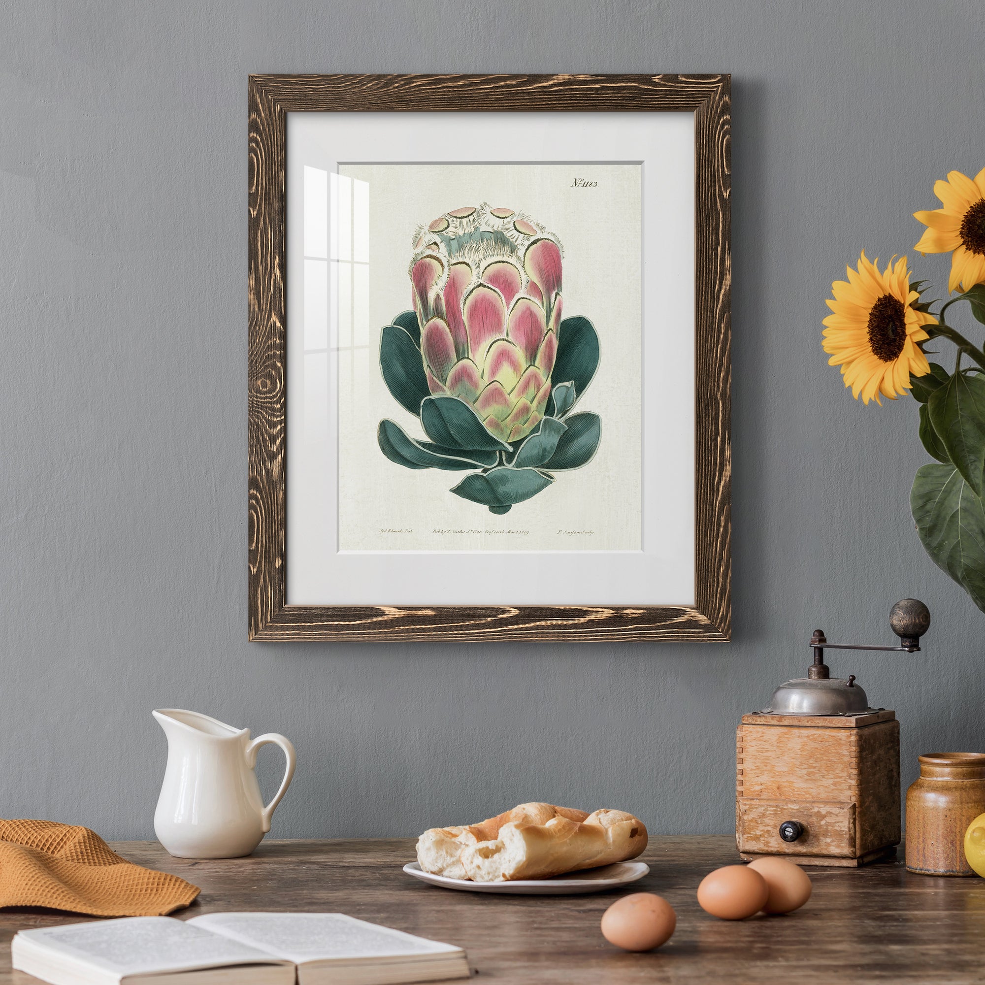 Protea N83 - Barnwood Framed Art Print