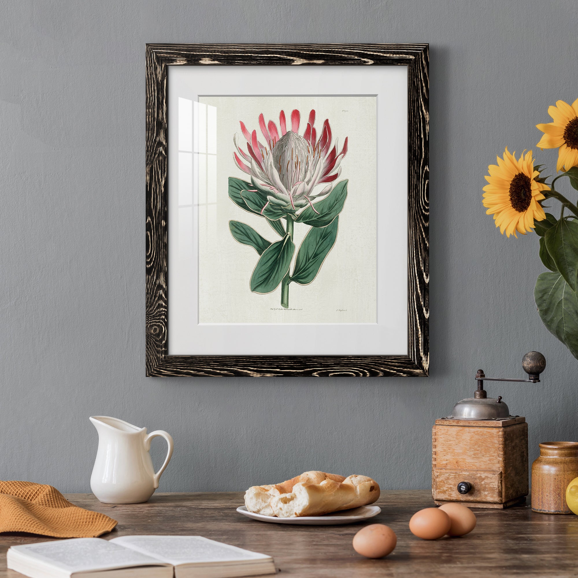 Protea N13 - Barnwood Framed Art Print