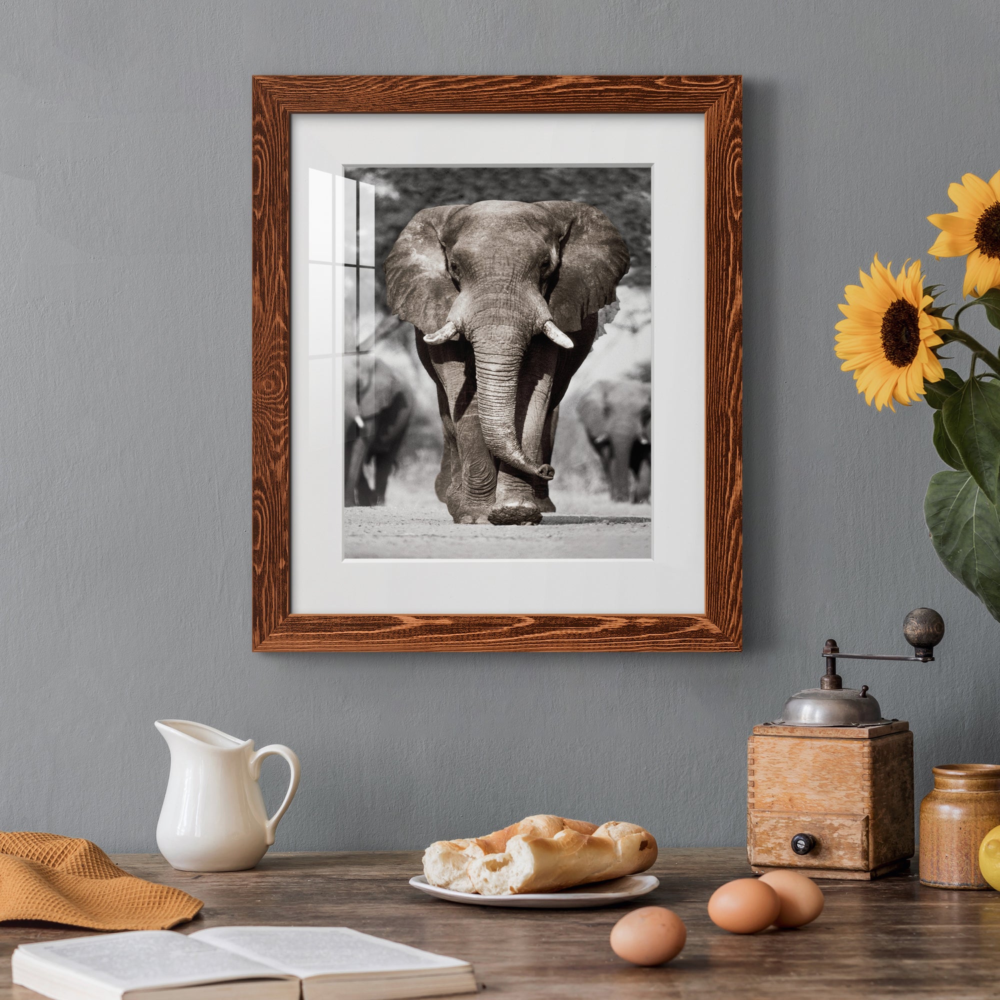 Botswana Patriarch - Barnwood Framed Art Print