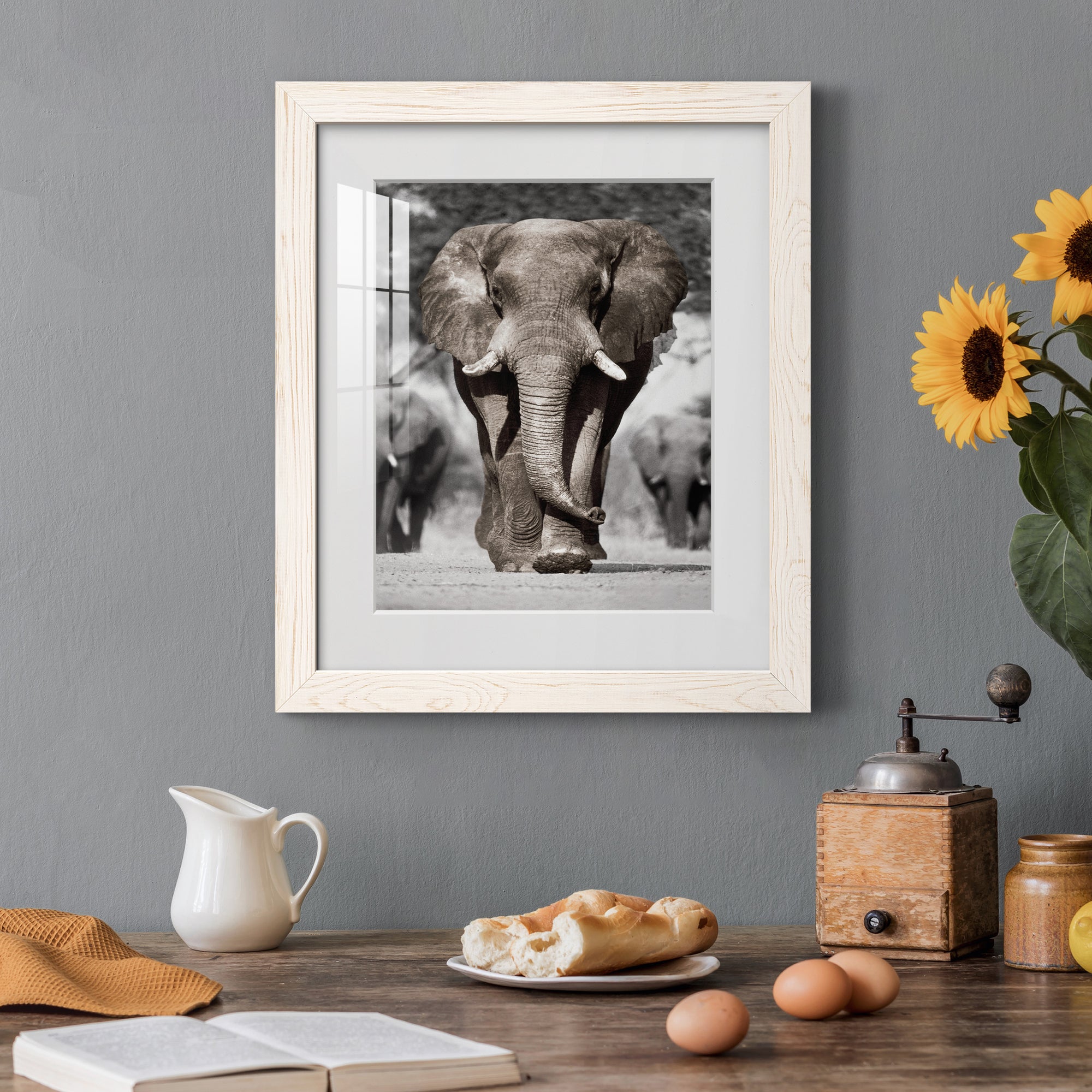 Botswana Patriarch - Barnwood Framed Art Print