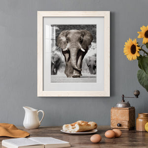 Botswana Patriarch - Barnwood Framed Art Print