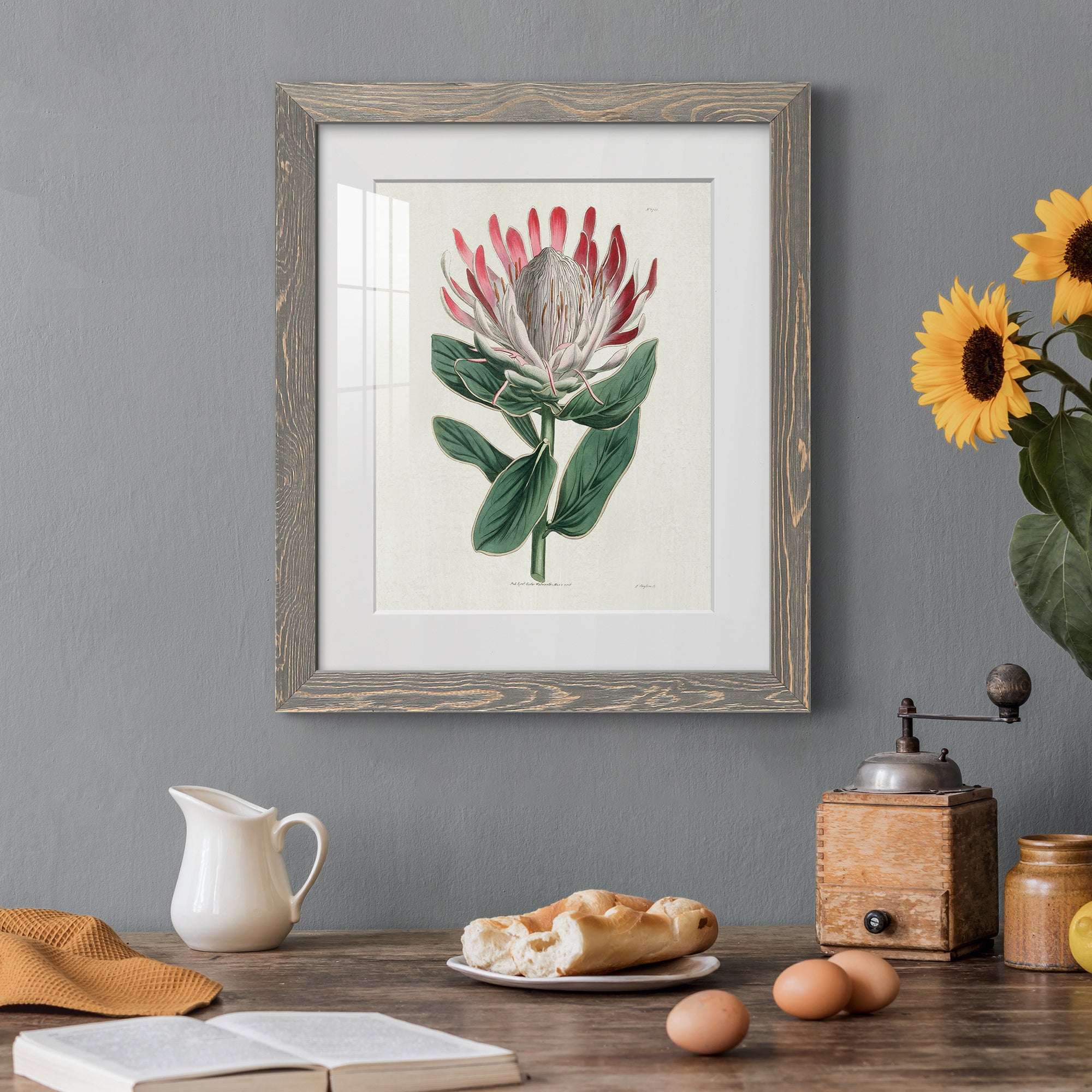 Protea N13 - Barnwood Framed Art Print