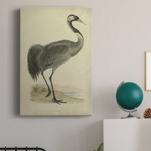 Morris Crane I - Canvas Art Print