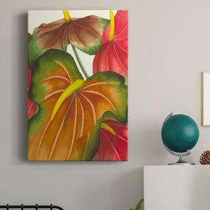 Anthuria I Premium Gallery Wrapped Canvas - Ready to Hang