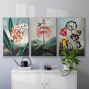 Temple of Flora VI - Framed Premium Gallery Wrapped Canvas L Frame 3 Piece Set - Ready to Hang