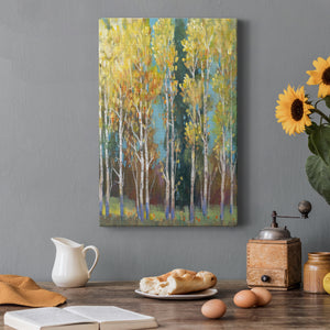 Aspen Grove I Premium Gallery Wrapped Canvas - Ready to Hang