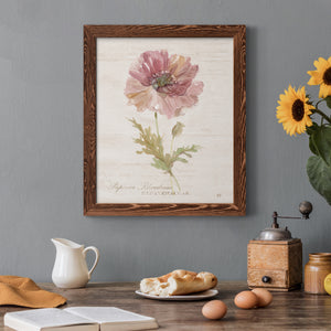 Soft Poppy - Premium Canvas Framed in Barnwood - Ready to Hang