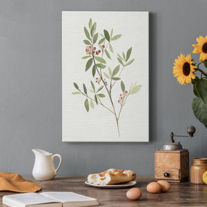 Single Sprig IV Premium Gallery Wrapped Canvas - Ready to Hang