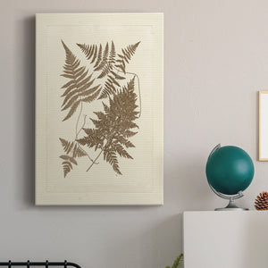 Sepia Ferns VI Premium Gallery Wrapped Canvas - Ready to Hang