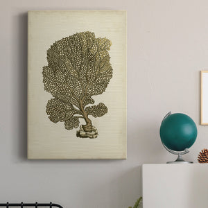 Sealife Collection VIII - Canvas Art Print