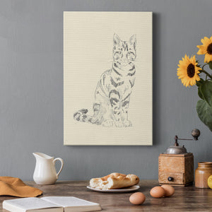 House Cat IV Premium Gallery Wrapped Canvas - Ready to Hang