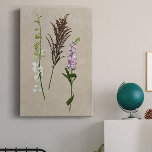 Pretty Pressed Flowers IV Premium Gallery Wrapped Canvas - Ready to Hang