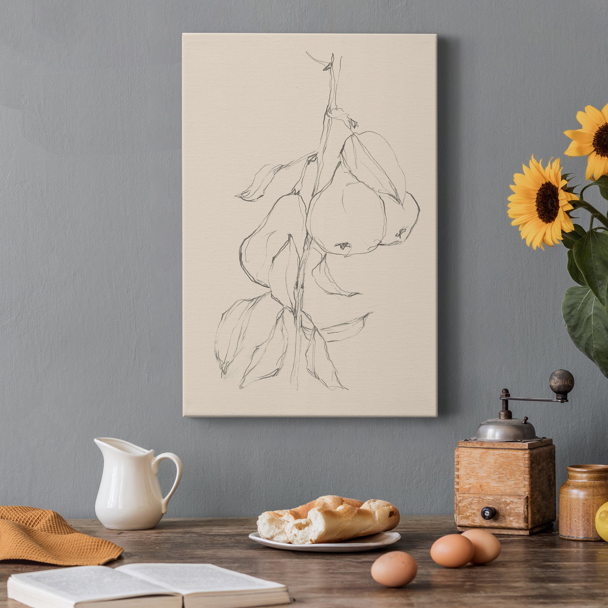 Fruit Contour Study II Premium Gallery Wrapped Canvas - Ready to Hang