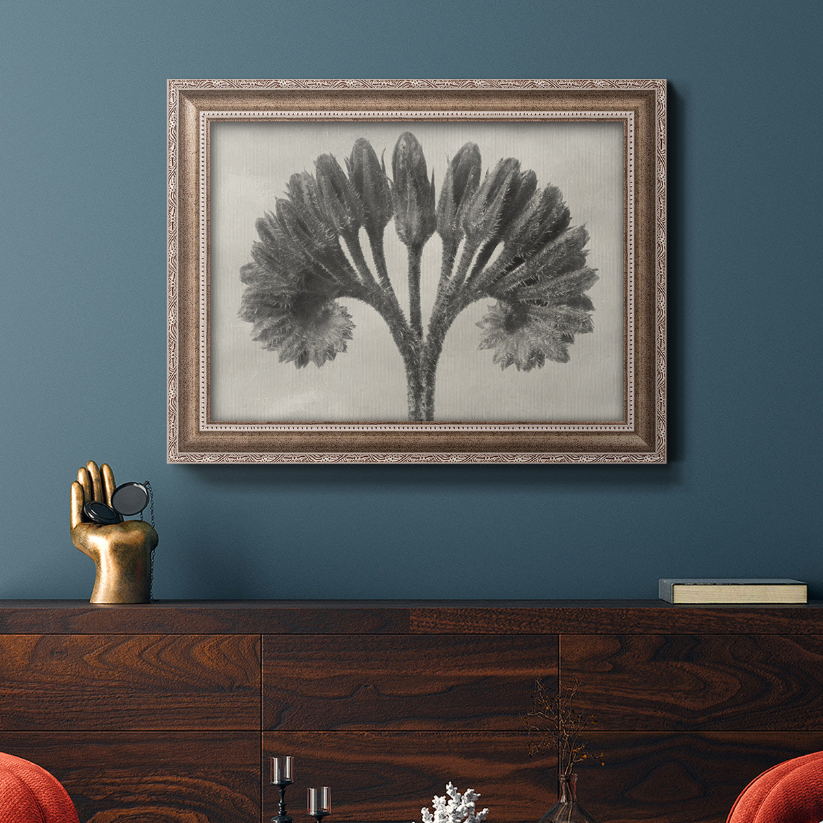 Blossfeldt Botanical VII Premium Framed Canvas- Ready to Hang