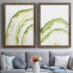 Lichen Halo I - Barnwood Framed Canvas Set