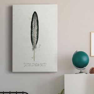 Found Feather II - Canvas Art Print