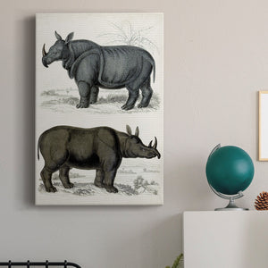 Journal of Natural History IX - Canvas Art Print