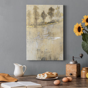 Cloaked in Mist II - Canvas Art Print