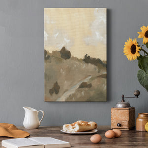 Hillside Walking Path IV - Canvas Art Print
