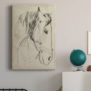 Horse in Bridle Sketch I - Canvas Art Print