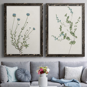 Blue Wispy I - Barnwood Framed Canvas Set