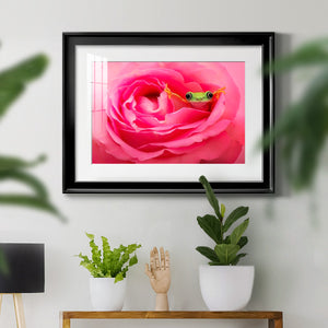 Hanging On VIII - Modern Framed Art Print