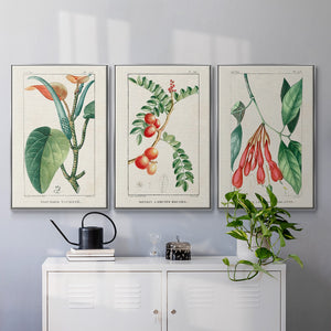 Turpin Tropical Botanicals I - Framed Premium Gallery Wrapped Canvas L Frame 3 Piece Set - Ready to Hang