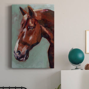 Paint by Number Horse I - Canvas Art Print