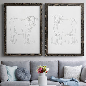 Limousin Cattle I - Barnwood Framed Canvas Set
