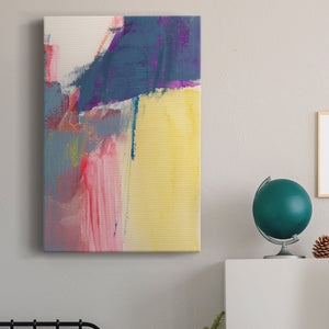 Flim Flam IV - Canvas Art Print