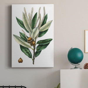 Dense Flowered Oak Premium Gallery Wrapped Canvas - Ready to Hang