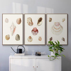 Pastel Knorr Shells IV - Framed Premium Gallery Wrapped Canvas L Frame 3 Piece Set - Ready to Hang
