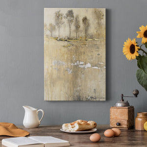 Cloaked in Mist I - Canvas Art Print