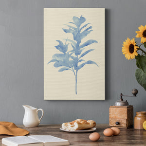 Verditer Fig I - Canvas Art Print