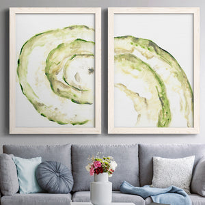 Lichen Halo V - Barnwood Framed Canvas Set