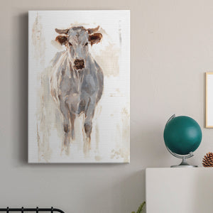 Sunlit Cows I - Canvas Art Print