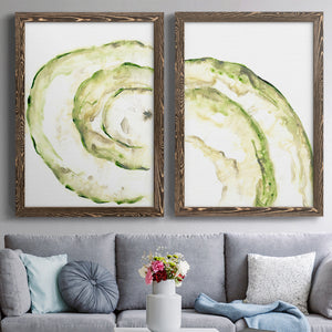 Lichen Halo V - Barnwood Framed Canvas Set