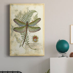 Regal Dragonfly I (PP)  - Canvas Art Print