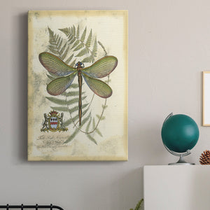 Regal Dragonfly II (PP)  - Canvas Art Print