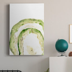 Lichen Halo IV - Canvas Art Print