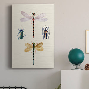 Insect Varieties I - Canvas Art Print