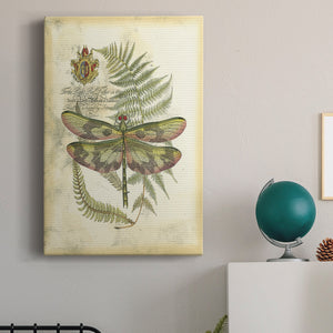Regal Dragonfly IV (PP)  - Canvas Art Print