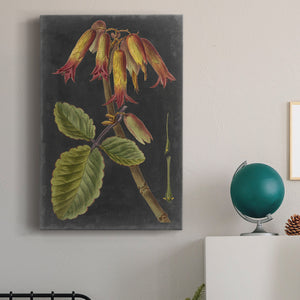 Dramatic Tropicals III Premium Gallery Wrapped Canvas - Ready to Hang