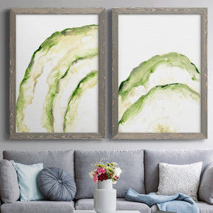 Lichen Halo I - Barnwood Framed Canvas Set