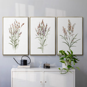 Dainty Botanical I - Framed Premium Gallery Wrapped Canvas L Frame 3 Piece Set - Ready to Hang
