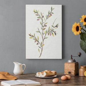 Single Sprig II Premium Gallery Wrapped Canvas - Ready to Hang