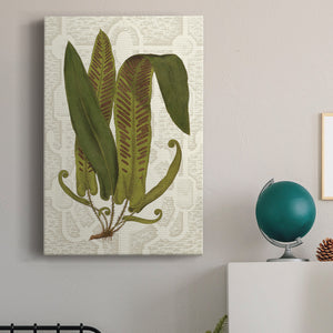 Garden Ferns I Premium Gallery Wrapped Canvas - Ready to Hang